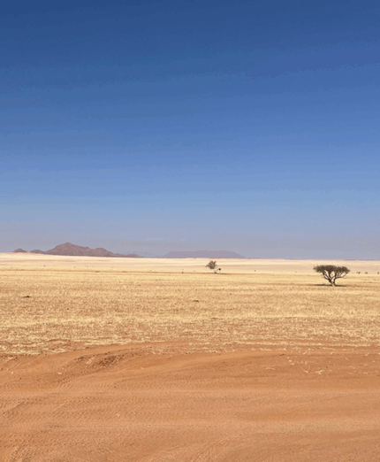 Namibia Givi 2025