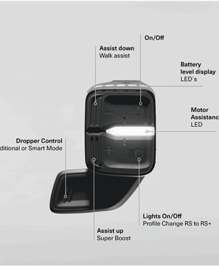 RS Control System