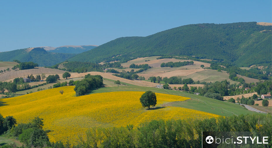 Cammino dei Cappuccini, luglio 2025, Marche, Giovanni visconti, panorama Sibillini