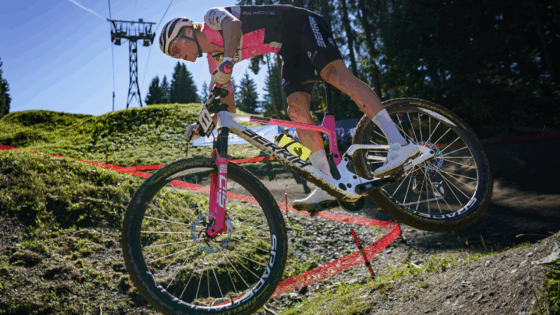 Berria Bikes, full suspension