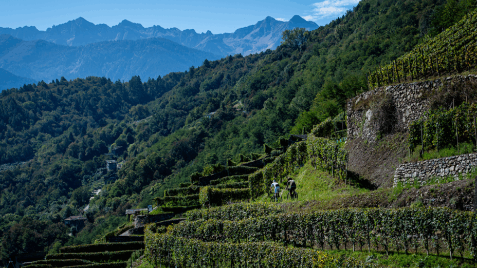 Gravellina, Strade Rurali, Sondrio