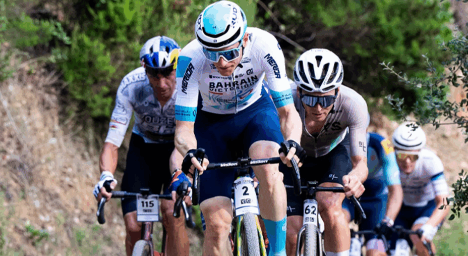 Sea Otter, 2025, gravel, Matej Mohoric