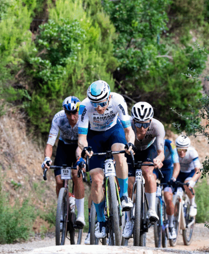 Sea Otter, 2025, gravel, Matej Mohoric