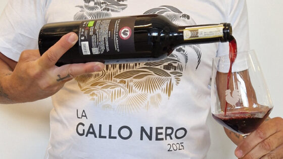 La Gallo Nero, Cicloturistica, Chianti, Toscana, Vino,