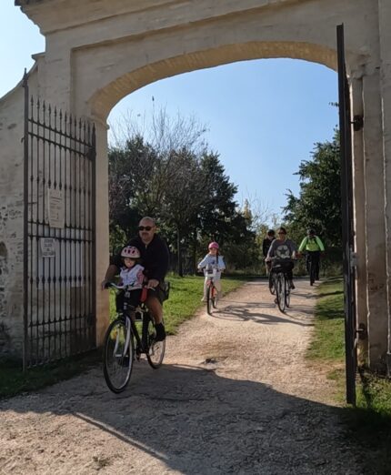 family ride