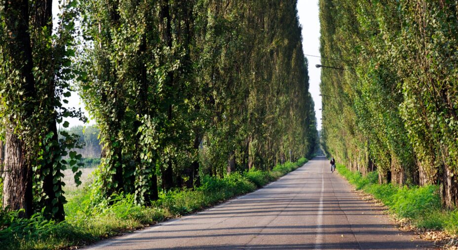 Visit Emilia, strada lungo argine del Po