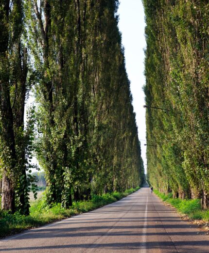 Visit Emilia, strada lungo argine del Po