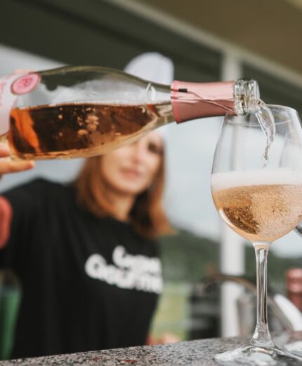 vino rosato alla gravel gourmet