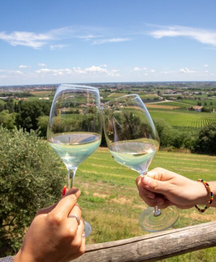 BYBYKE Custoza, calici di vino