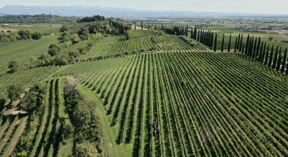 BYBYKE Custoza, vista aerea dei vigneti