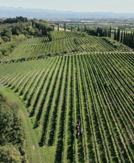 BYBYKE Custoza, vista aerea dei vigneti