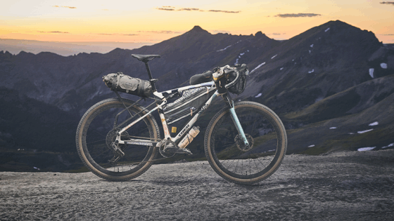 Trek CheckOUT 2025