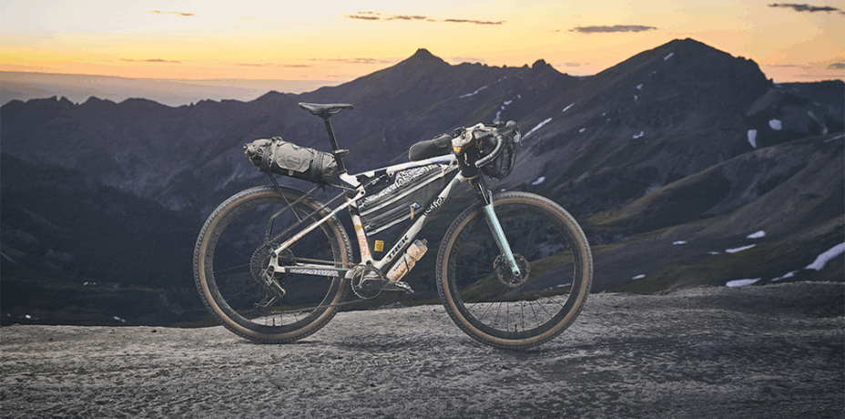 Trek CheckOUT 2025