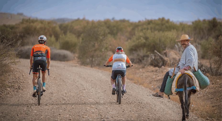 Bike Division Marocco