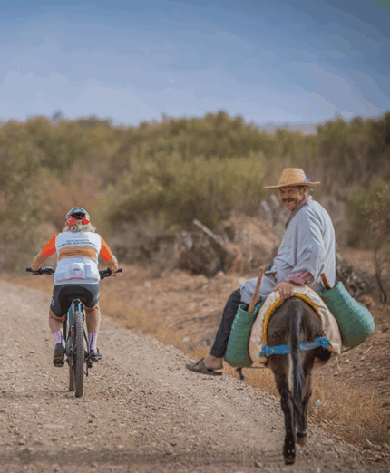 Bike Division Marocco