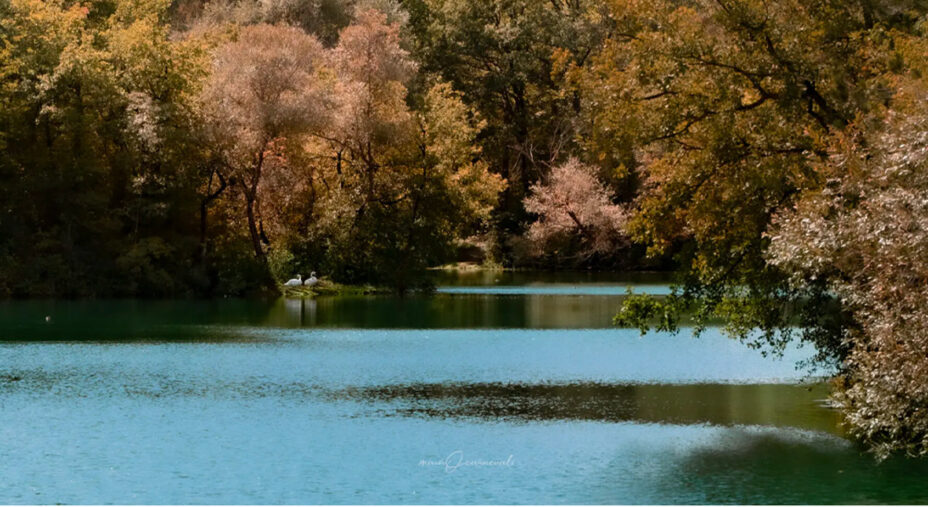 Cammino Francescano della Marca, da Assisi ad Ascoli Piceno, Lago di Polverina (foto lemarche.it)