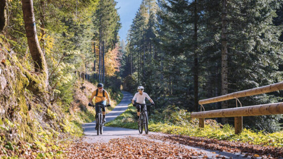 itinerari autunno, Alto Garda