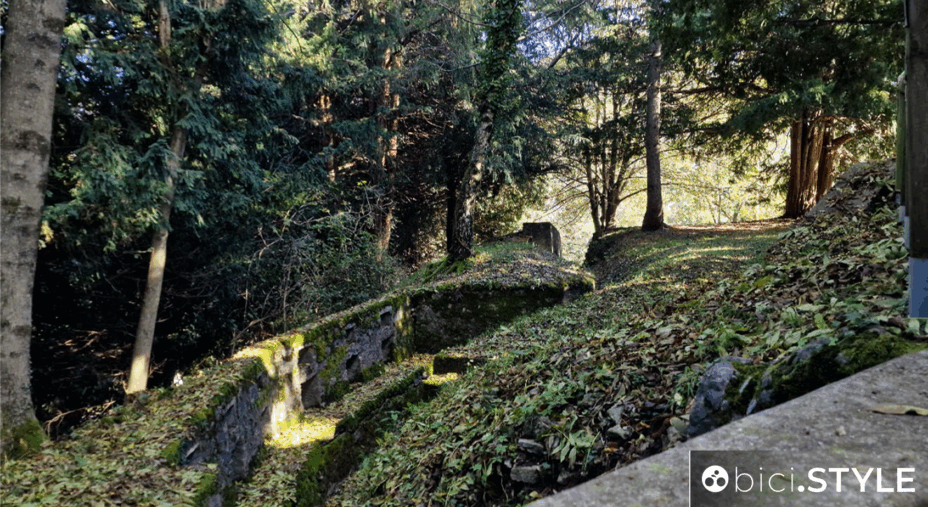 Varese, Linea Cadorna