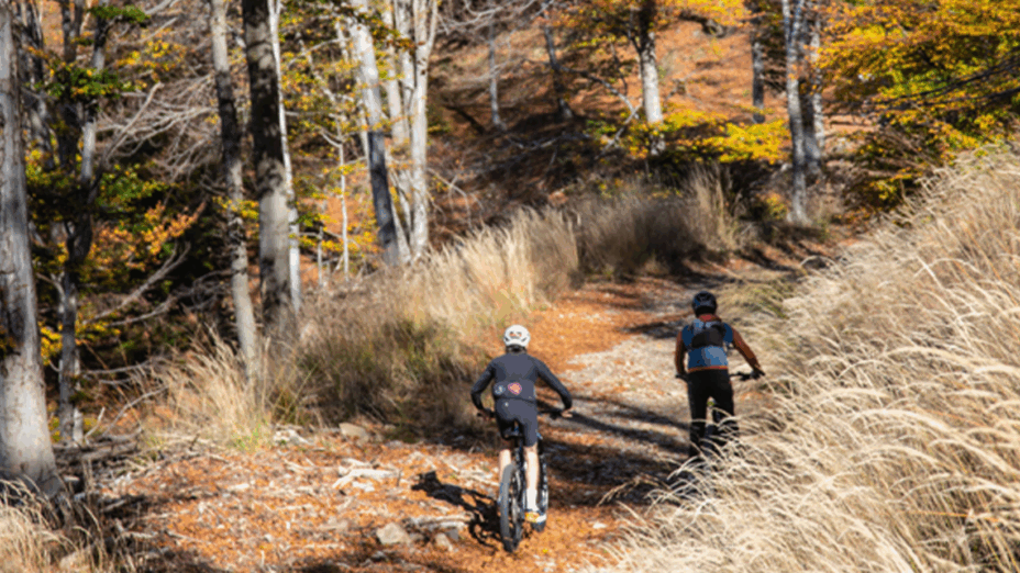 Varese (foto Juri Baruffardi)