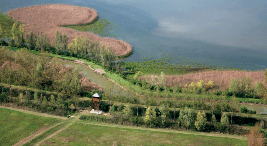 Argenta (foto Archivio Valli di Argenta)