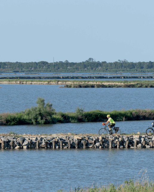 Valli di Comacchio (foto Archivio Po Delta Tourism)