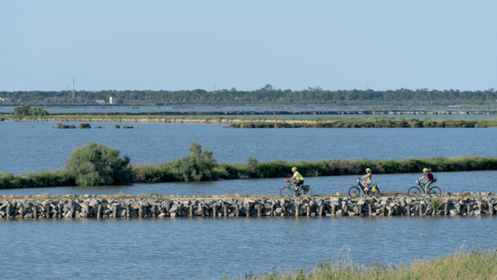 Valli di Comacchio (foto Archivio Po Delta Tourism)