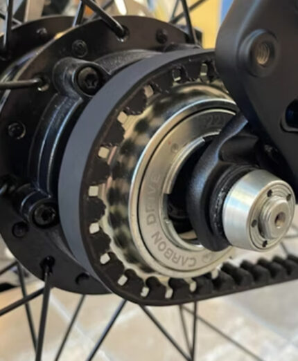 cinghia o catena trasmissione