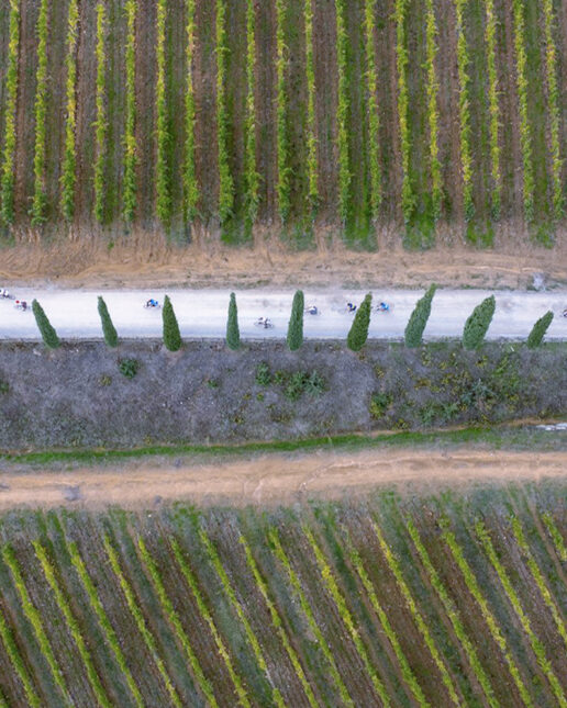 Eroica, sterrato, Toscana