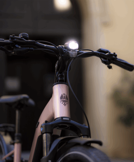 Bianchi, T-Tronik C, e-bike, città, luce anteriore