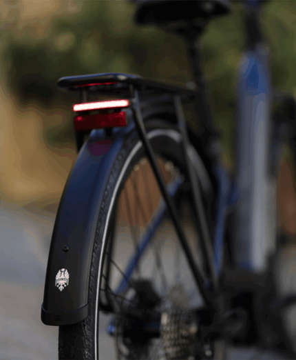 Bianchi, T-Tronik C, e-bike, città, luce posteriore