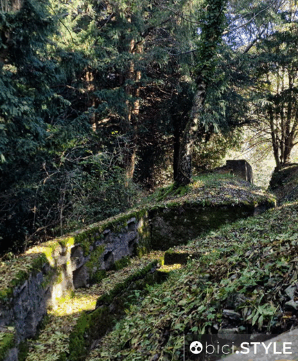 Varese, Linea Cadorna