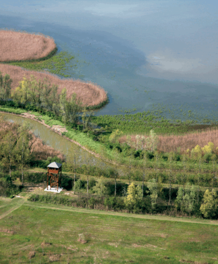 Argenta (foto Archivio Valli di Argenta)