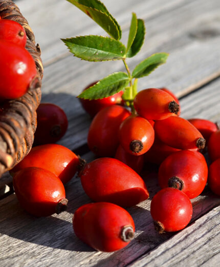 Rosa canina, alimentazione (depositphotos.com)