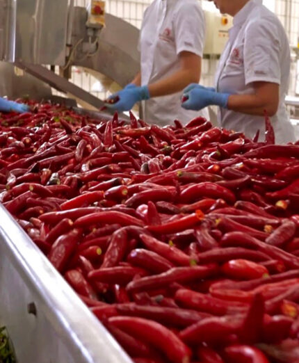 Peperoncino, alimentazione, benessere, Sigarette di Calabria (foto Delizie di Calabria)
