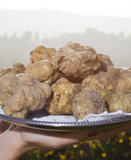 Alimentazione, tartufo, benessere (depositphotos.com)