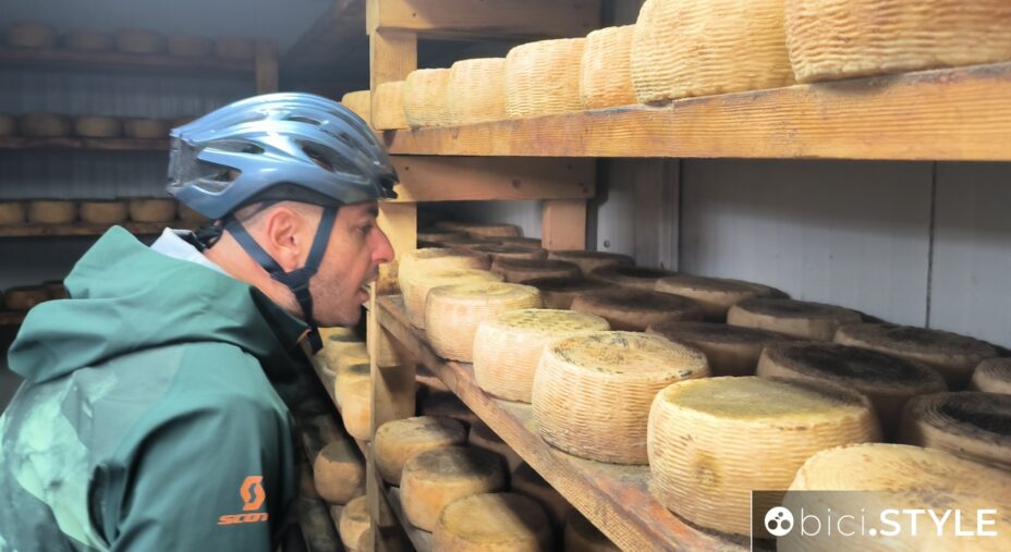Ciclovie della Transumanza in Abruzzo, Pecorino di Farindola
