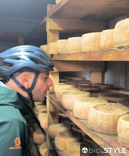 Ciclovie della Transumanza in Abruzzo, Pecorino di Farindola