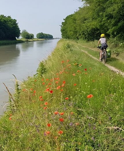 Tour Unesco Lombardia, foto Andrea Rolando, canale Cavour, ciclista