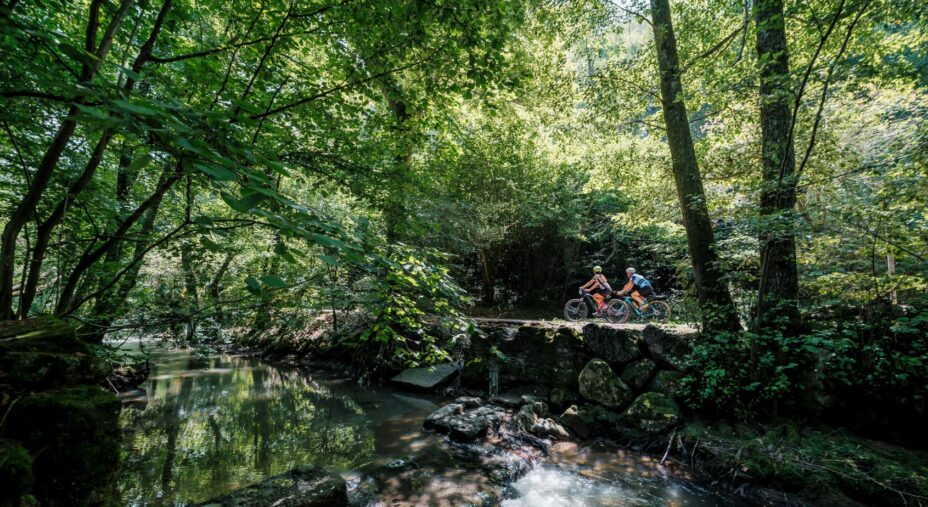 Ciclovia dei Colli e del Brembo, ciclisti nel verde