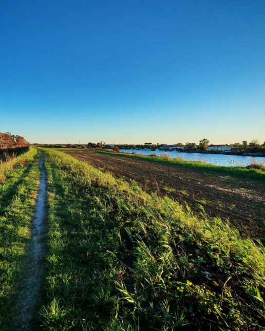 Sentiero Pasolini, lungo il Tevere
