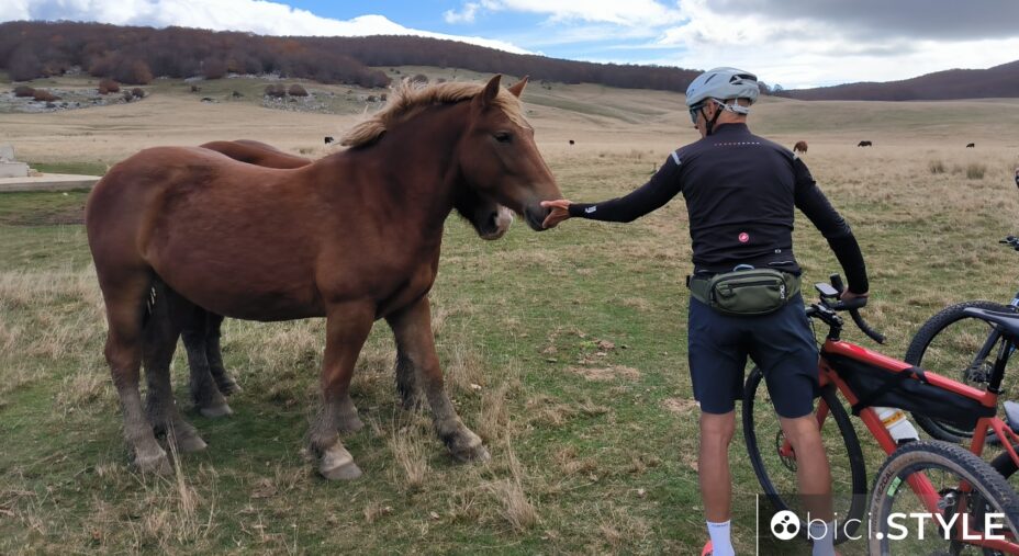 Ciclovie della Transumanza, ciclista e cavallo