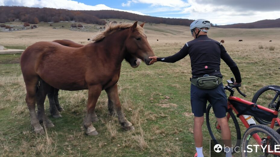 Ciclovie della Transumanza, ciclista e cavallo