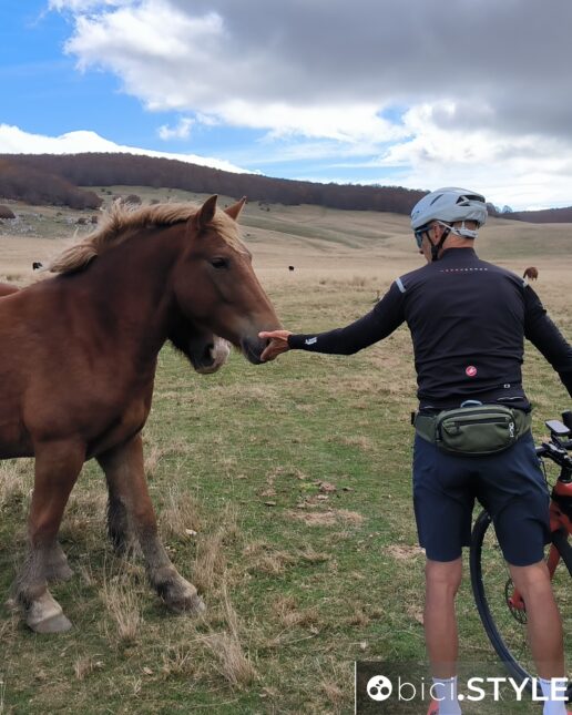 Ciclovie della Transumanza, ciclista e cavallo