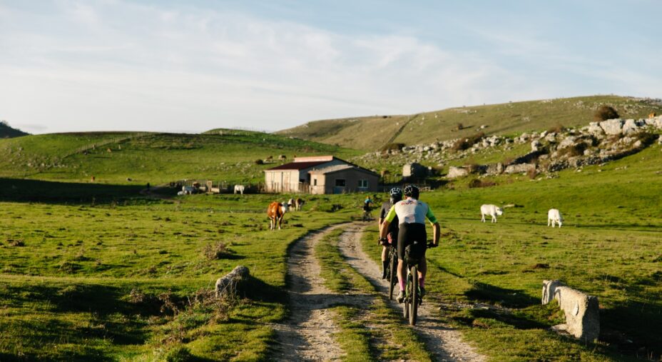 Molise Trail, ciclisti, animali al pascolo