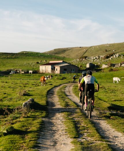 Molise Trail, ciclisti, animali al pascolo