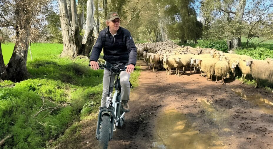 Sentiero Pasolini, Sven Otto Scheen