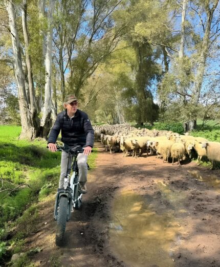 Sentiero Pasolini, Sven Otto Scheen