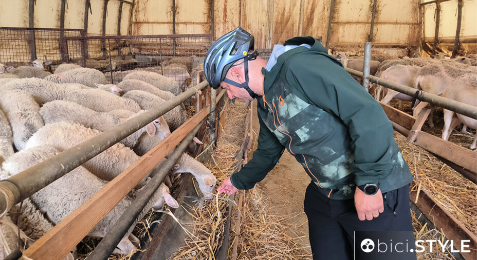 Ciclovie della Transumanza in Abruzzo, ciclista, pecore, ovile