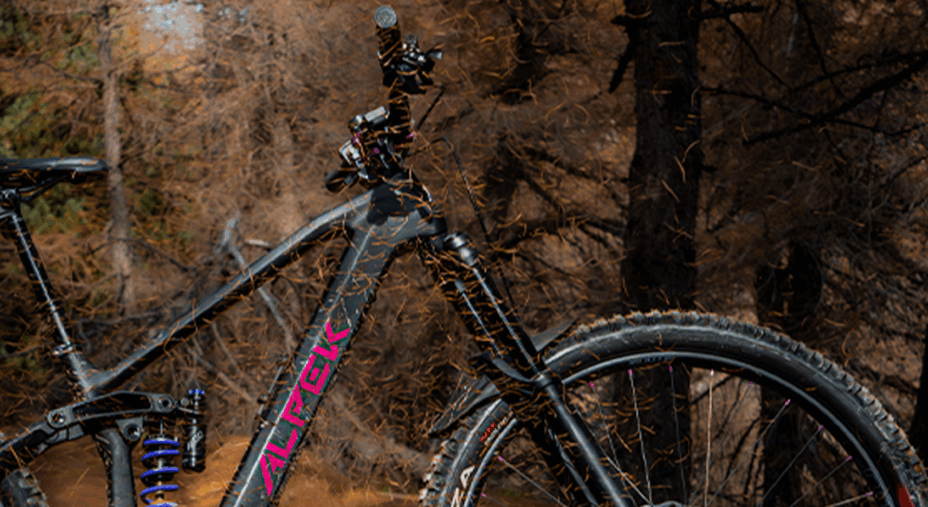 Arya e-mtb in carbonio di Alpek