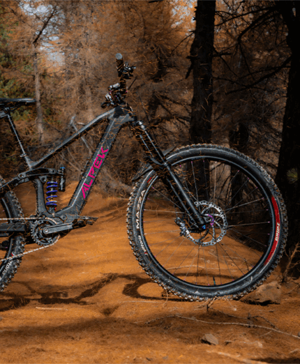 Arya e-mtb in carbonio di Alpek